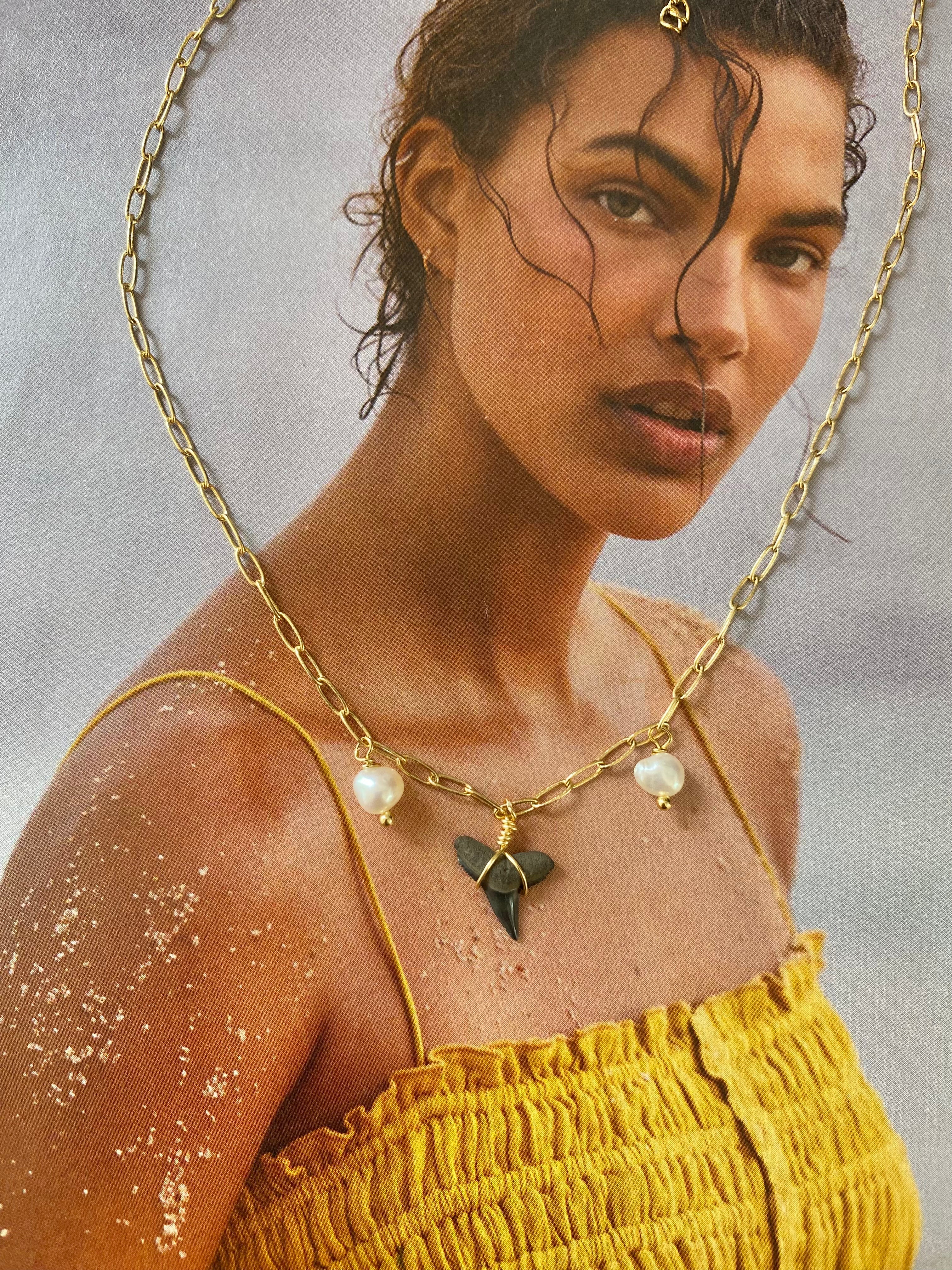 Fins Up Shark Tooth Necklace