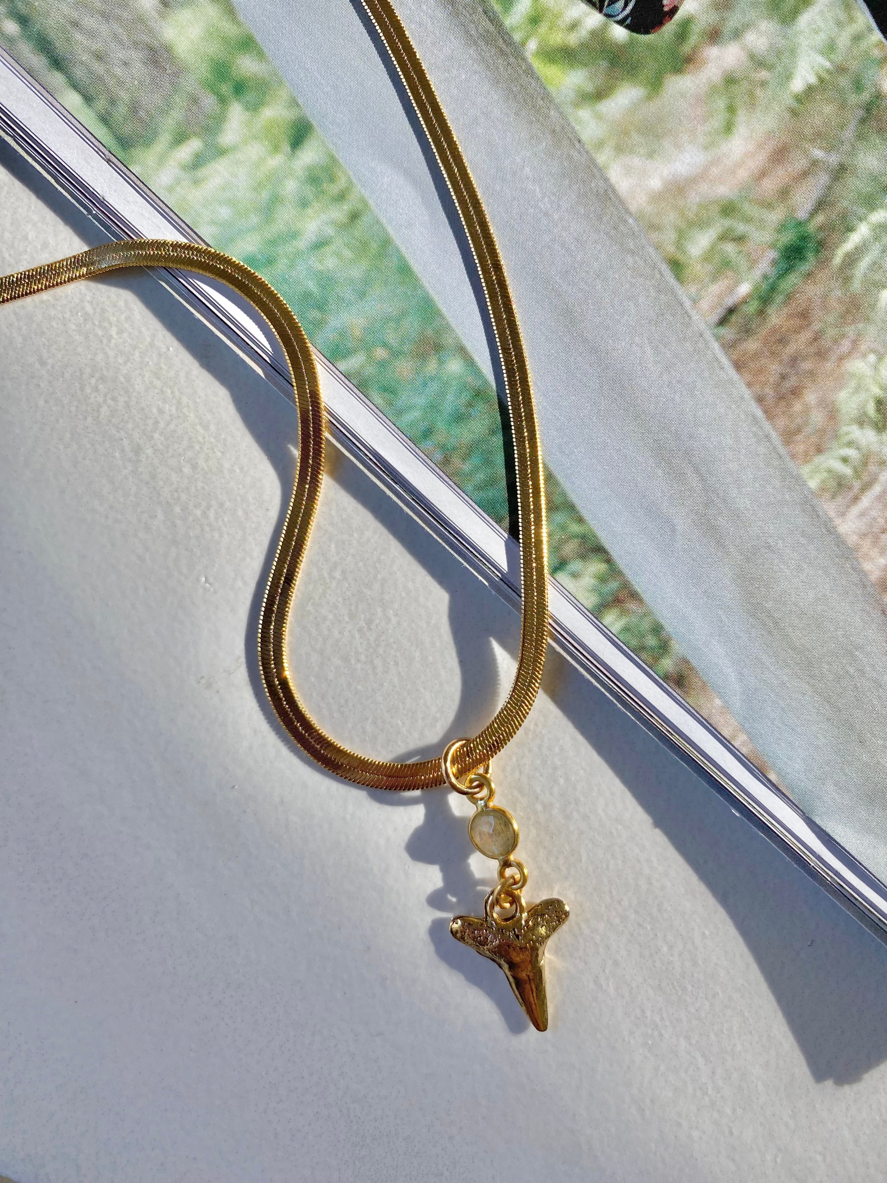 Shark Cove Necklace