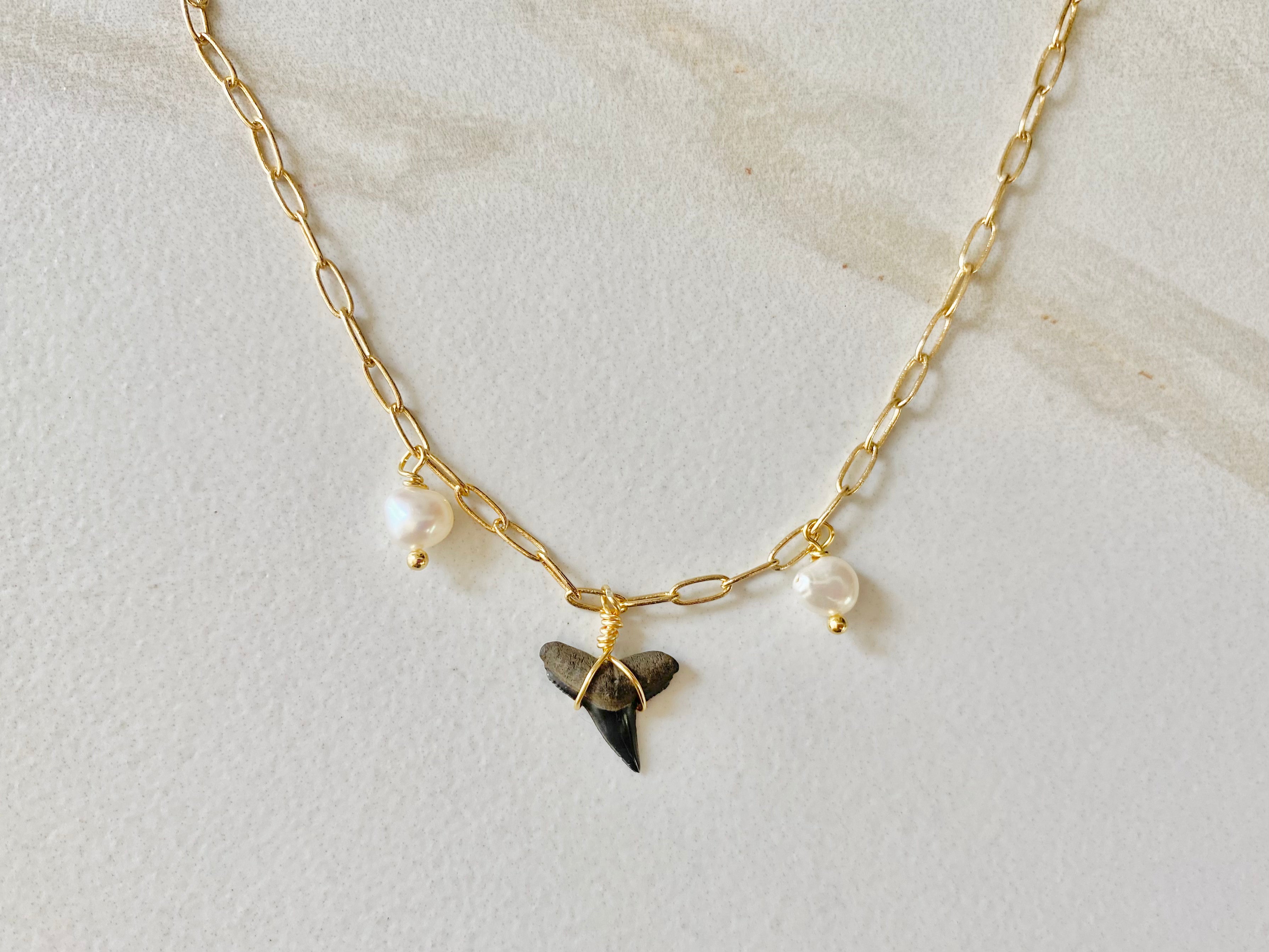 Fins Up Shark Tooth Necklace